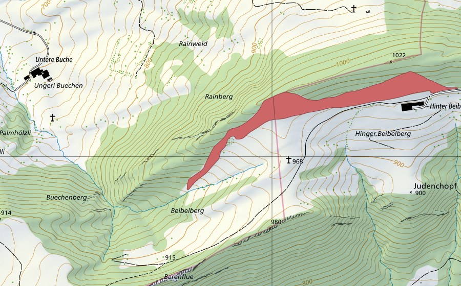 Carta nazionale swisstopo con il perimetro protetto di Hinter Beinwilberg (Prato secco)