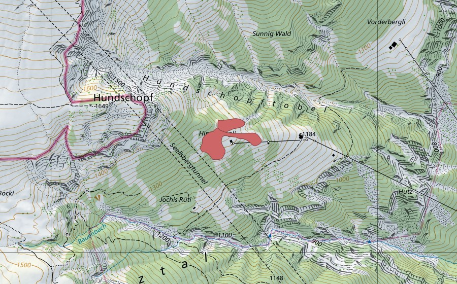 Landeskarte swisstopo mit dem Schutzperimeter von Hinter Bergli (Trockenwiese)