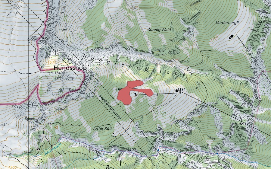 Carte nationale swisstopo avec le périmètre protégé de Hinter Bergli (Prairie sèche)