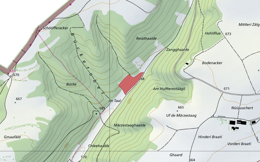 swisstopo national map showing the protected perimeter of Hinter Freudental (Dry meadow)