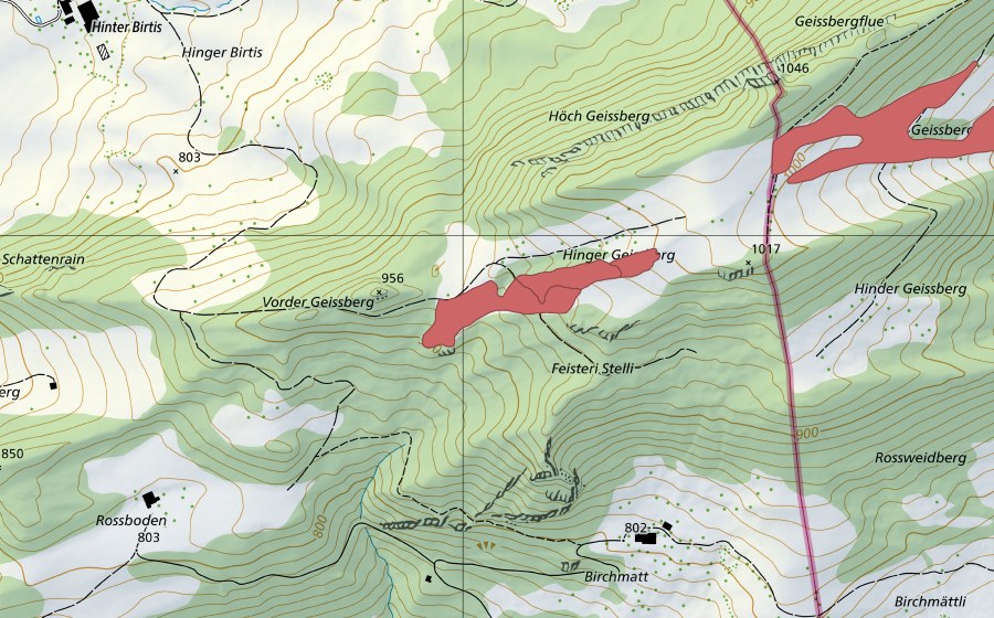 Landeskarte swisstopo mit dem Schutzperimeter von Hinter Geissberg (Trockenwiese)