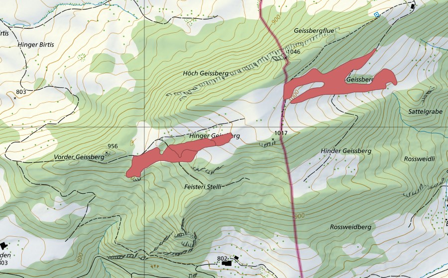 Landeskarte swisstopo mit dem Schutzperimeter von Hinter Geissberg (Trockenwiese)
