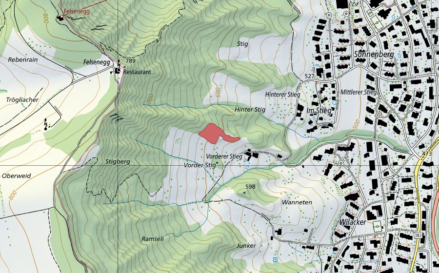 Carte nationale swisstopo avec le périmètre protégé de Hinter Stig (Prairie sèche)