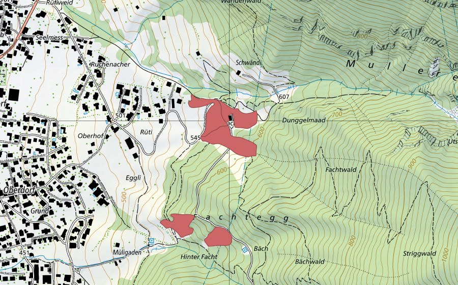 Landeskarte swisstopo mit dem Schutzperimeter von Hintere Facht (Trockenwiese)