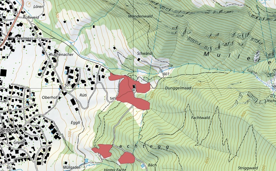 Landeskarte swisstopo mit dem Schutzperimeter von Hintere Facht (Trockenwiese)