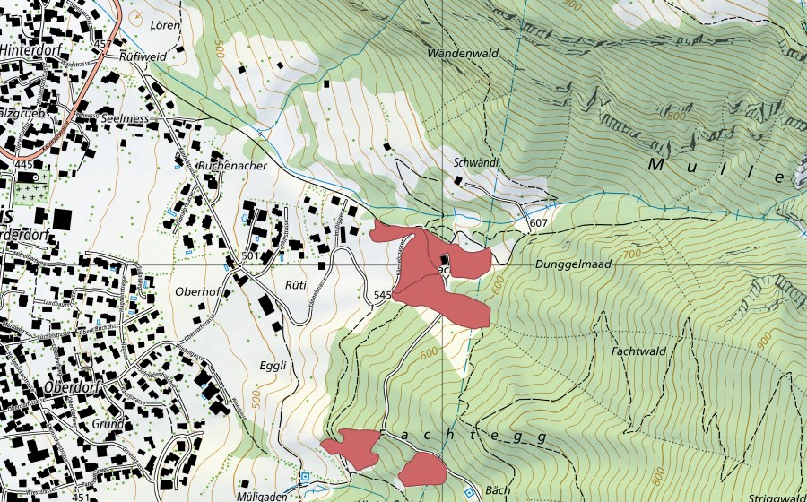 swisstopo national map showing the protected perimeter of Hintere Facht (Dry meadow)