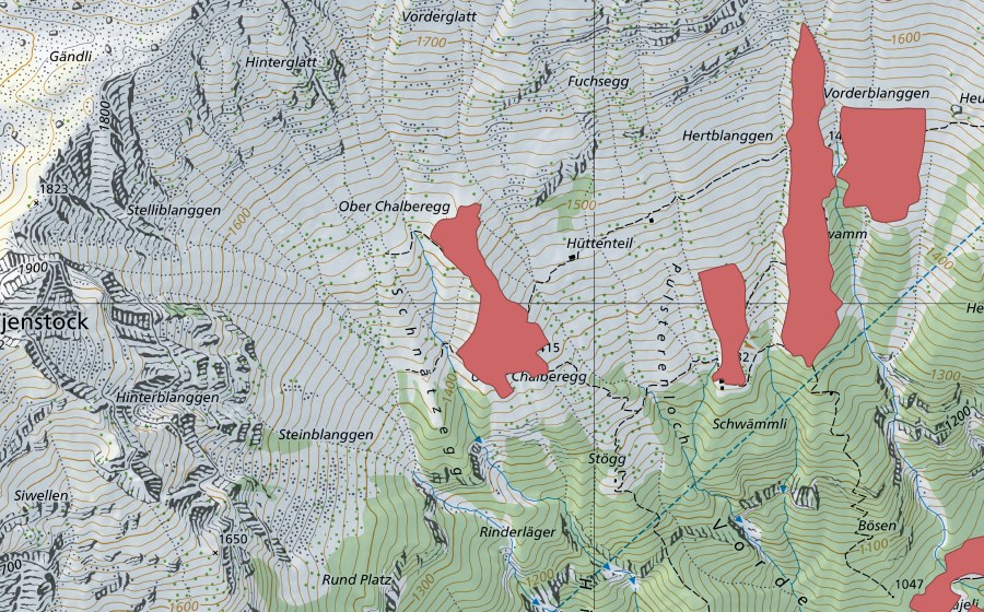 swisstopo national map showing the protected perimeter of Hintere Planggen (Dry meadow)
