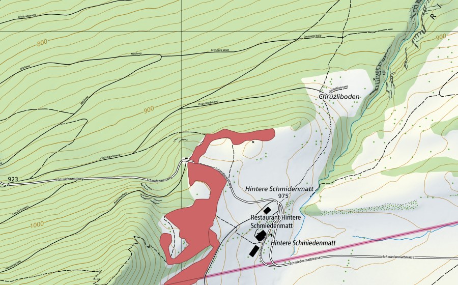 swisstopo national map showing the protected perimeter of Hintere Schmidematt (Dry meadow)