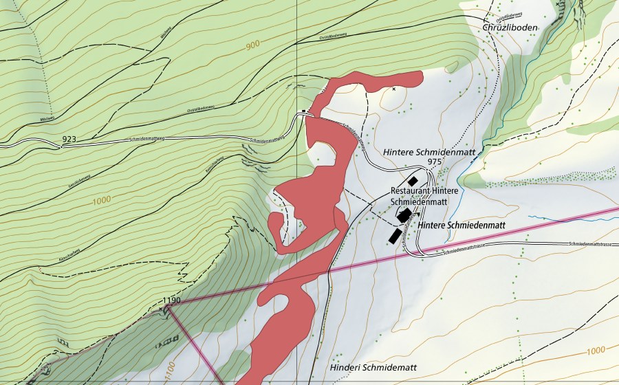 Landeskarte swisstopo mit dem Schutzperimeter von Hintere Schmidematt (Trockenwiese)