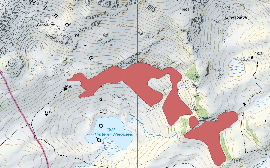swisstopo national map showing the protected perimeter of Hintere Walop (Dry meadow)