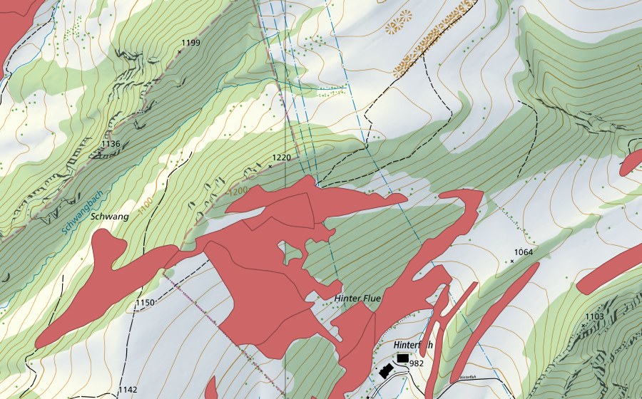Landeskarte swisstopo mit dem Schutzperimeter von Hinterflue (Trockenwiese)