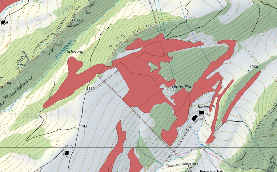 Landeskarte swisstopo mit dem Schutzperimeter von Hinterflue (Trockenwiese)