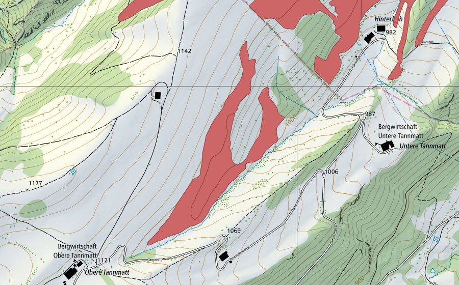swisstopo national map showing the protected perimeter of Hinterflue (Dry meadow)
