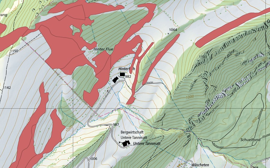 Carta nazionale swisstopo con il perimetro protetto di Hinterflue (Prato secco)