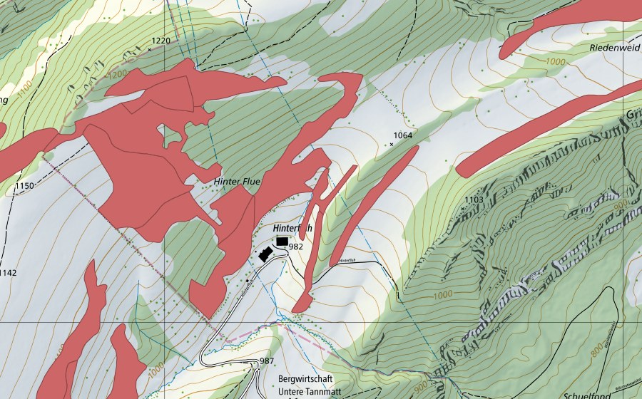 swisstopo national map showing the protected perimeter of Hinterflue (Dry meadow)