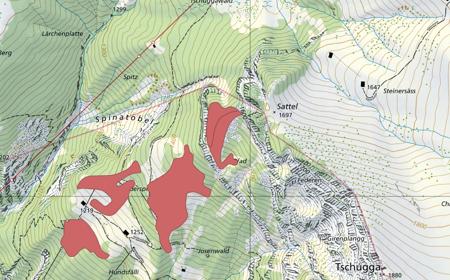 Landeskarte swisstopo mit dem Schutzperimeter von Hinterspina (Trockenwiese)
