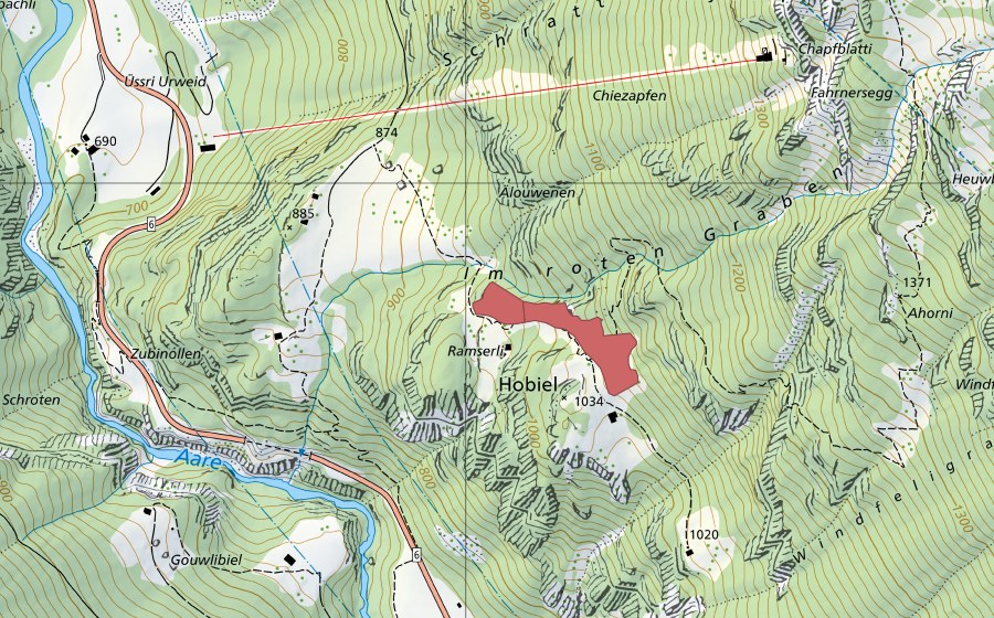 swisstopo national map showing the protected perimeter of Hobiel (Dry meadow)