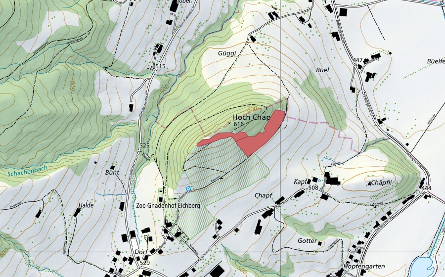 Landeskarte swisstopo mit dem Schutzperimeter von Hoch Chapf (Trockenwiese)