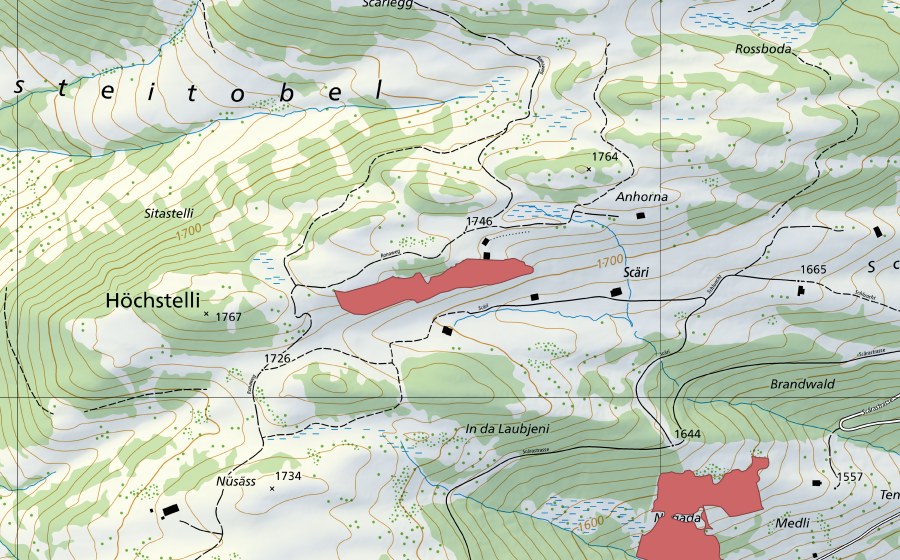 Carte nationale swisstopo avec le périmètre protégé de Höchstelli (Prairie sèche)