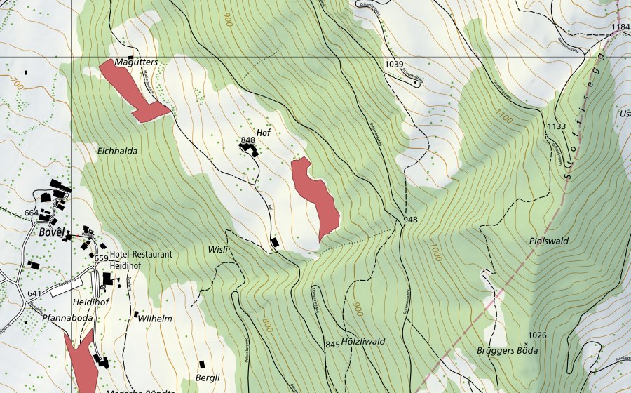 Landeskarte swisstopo mit dem Schutzperimeter von Hof (Trockenwiese)
