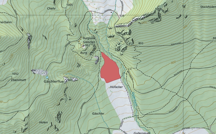 Landeskarte swisstopo mit dem Schutzperimeter von Hofacher (Trockenwiese)