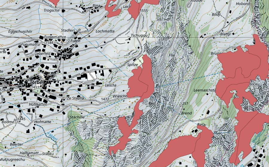 swisstopo national map showing the protected perimeter of Hofmatte (Dry meadow)