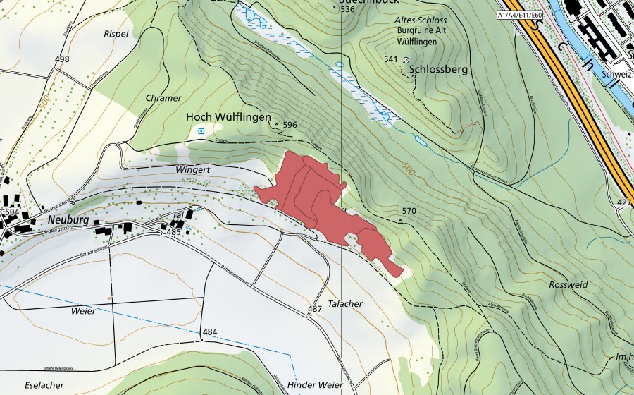 Carte nationale swisstopo avec le périmètre protégé de Hoh Wülflingen (Prairie sèche)