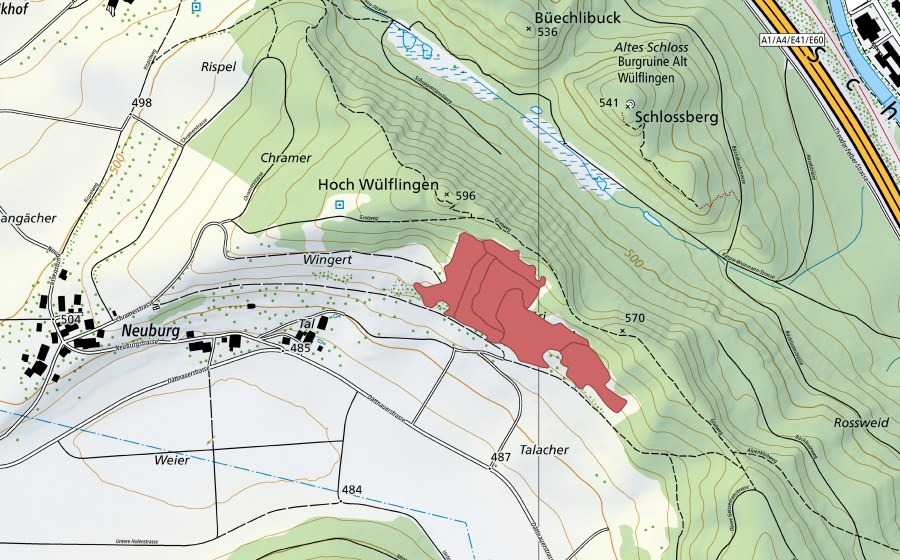 Landeskarte swisstopo mit dem Schutzperimeter von Hoh Wülflingen (Trockenwiese)