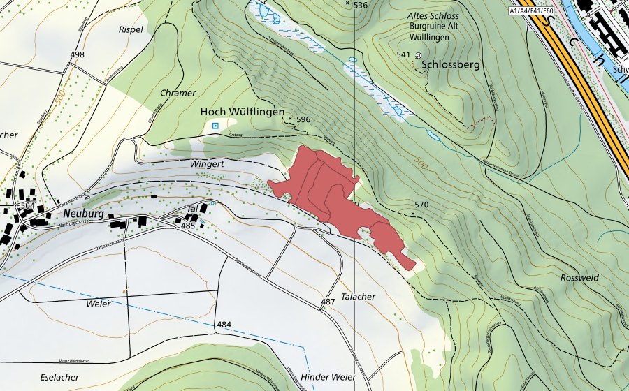 Landeskarte swisstopo mit dem Schutzperimeter von Hoh Wülflingen (Trockenwiese)
