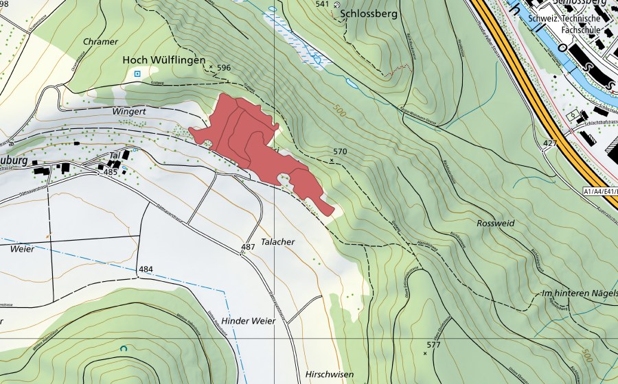 swisstopo national map showing the protected perimeter of Hoh Wülflingen (Dry meadow)