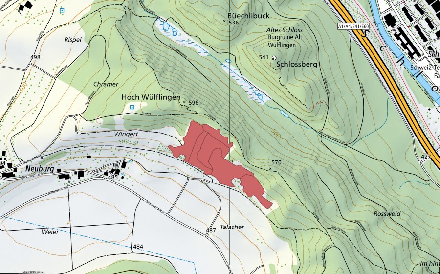 swisstopo national map showing the protected perimeter of Hoh Wülflingen (Dry meadow)