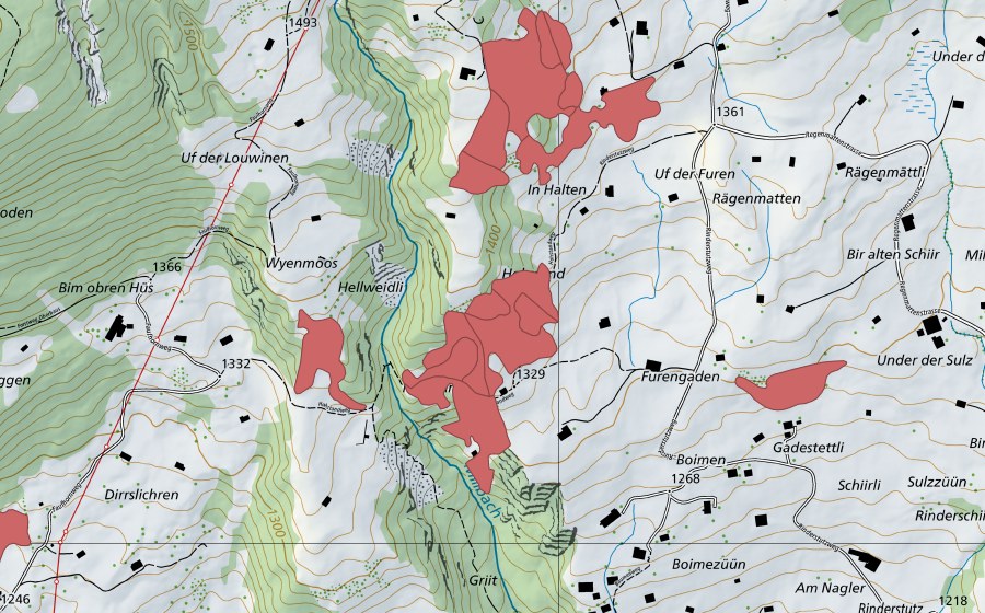 swisstopo national map showing the protected perimeter of Hohstand (Dry meadow)