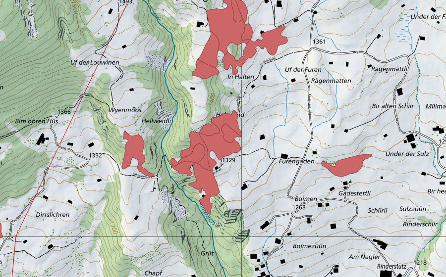 swisstopo national map showing the protected perimeter of Hohstand (Dry meadow)