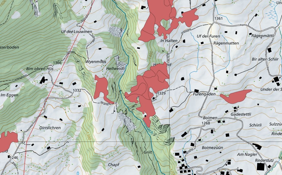 swisstopo national map showing the protected perimeter of Hohstand (Dry meadow)