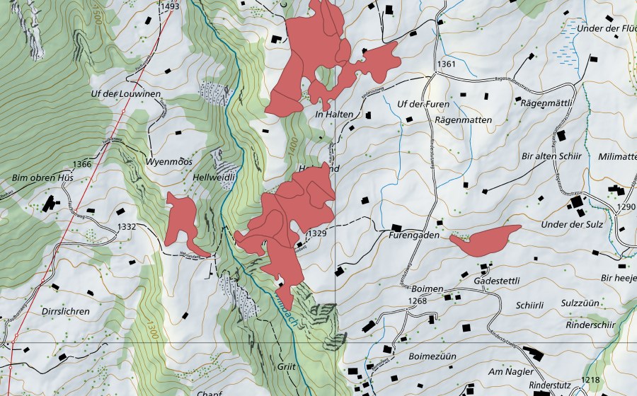 swisstopo national map showing the protected perimeter of Hohstand (Dry meadow)