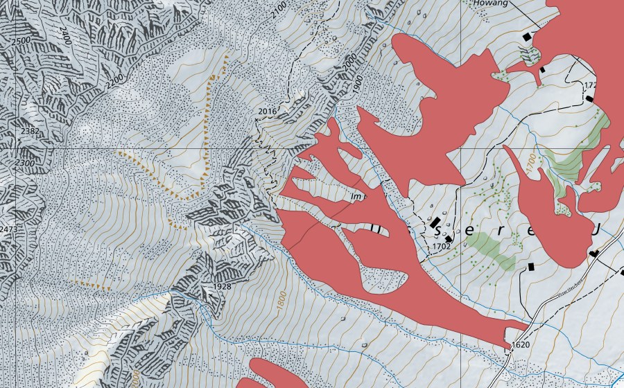 swisstopo national map showing the protected perimeter of Hohwang (Dry meadow)