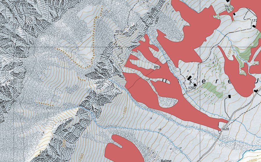 Landeskarte swisstopo mit dem Schutzperimeter von Hohwang (Trockenwiese)