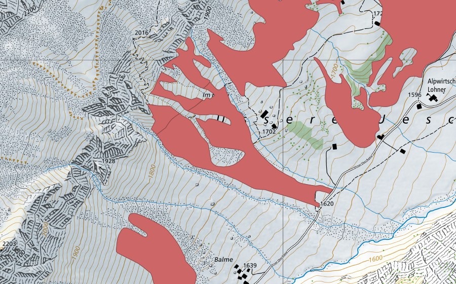 Carte nationale swisstopo avec le périmètre protégé de Hohwang (Prairie sèche)