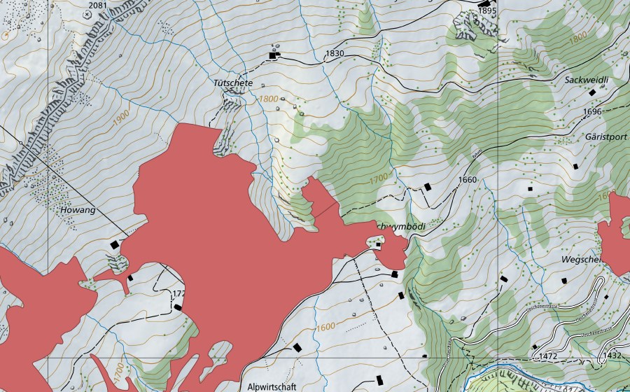 Landeskarte swisstopo mit dem Schutzperimeter von Hohwang (Trockenwiese)