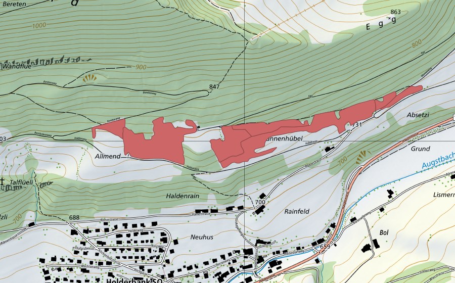 Carte nationale swisstopo avec le périmètre protégé de Holden (Prairie sèche)