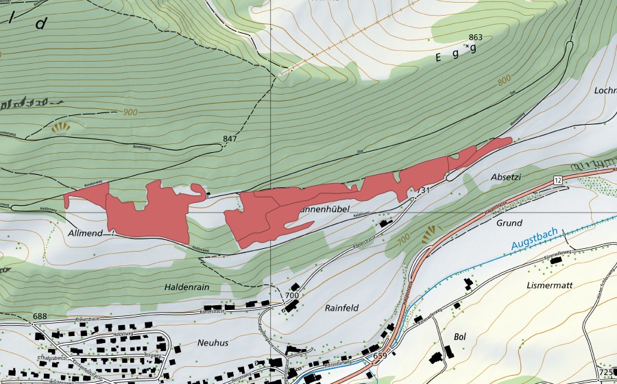 Landeskarte swisstopo mit dem Schutzperimeter von Holden (Trockenwiese)