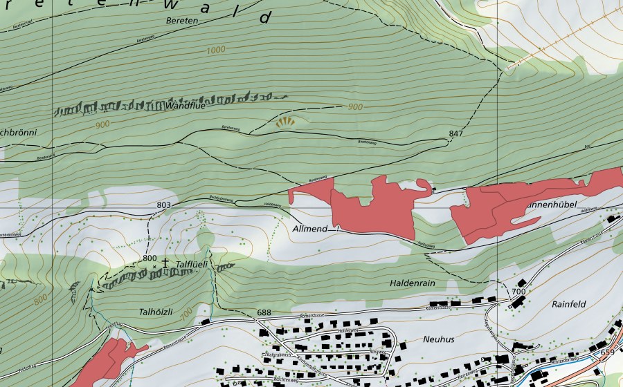 swisstopo national map showing the protected perimeter of Holden (Dry meadow)