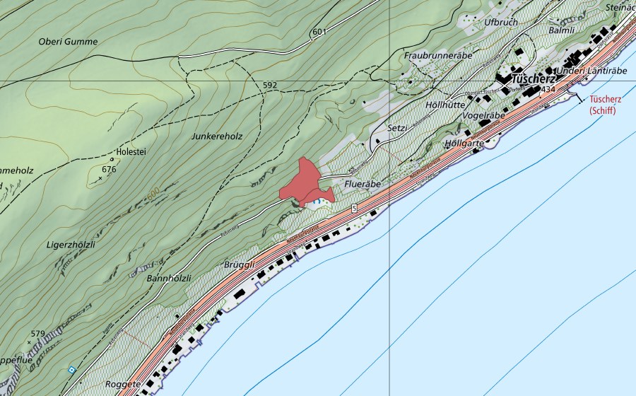 swisstopo national map showing the protected perimeter of Holestei (Dry meadow)