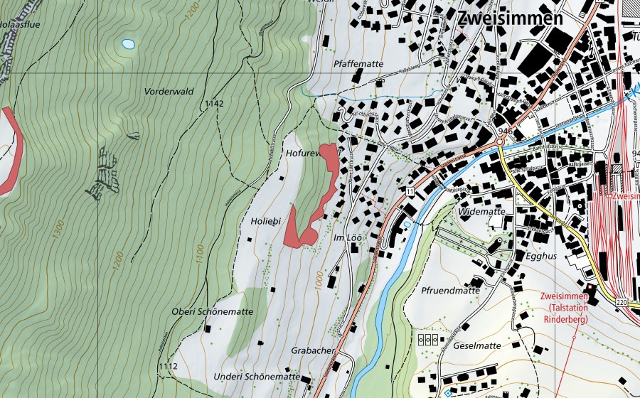 Landeskarte swisstopo mit dem Schutzperimeter von Holiebi (Trockenwiese)