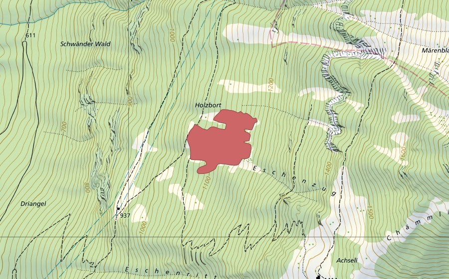 Landeskarte swisstopo mit dem Schutzperimeter von Holzbort (Trockenwiese)