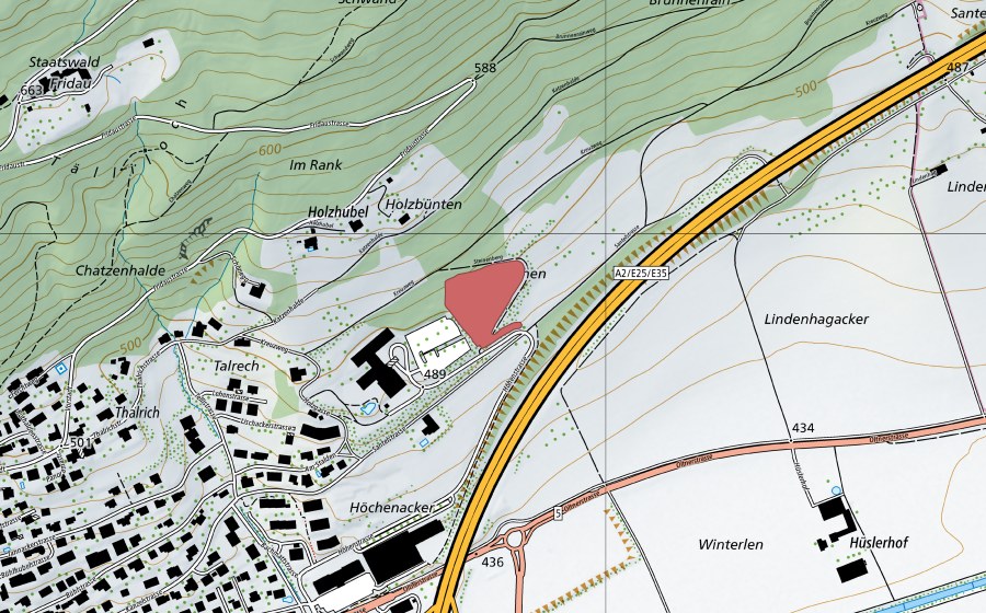 swisstopo national map showing the protected perimeter of Holzbünten (Dry meadow)