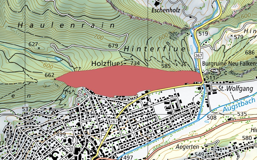Carta nazionale swisstopo con il perimetro protetto di Holzflue (Prato secco)
