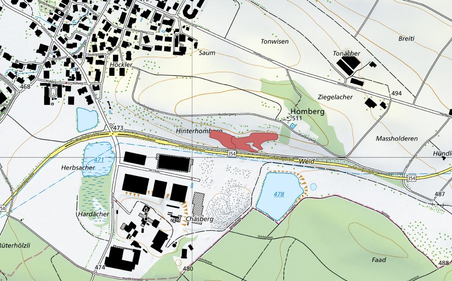 Landeskarte swisstopo mit dem Schutzperimeter von Homberg (Trockenwiese)