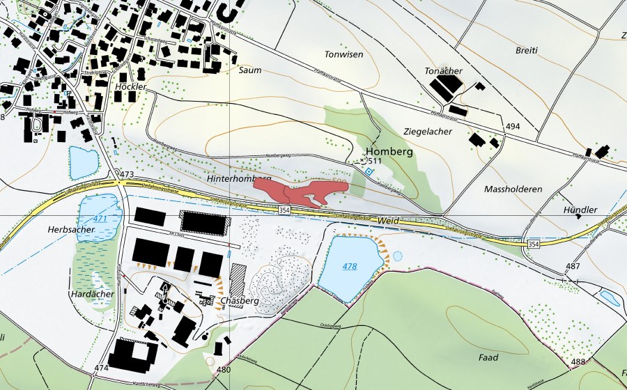 swisstopo national map showing the protected perimeter of Homberg (Dry meadow)
