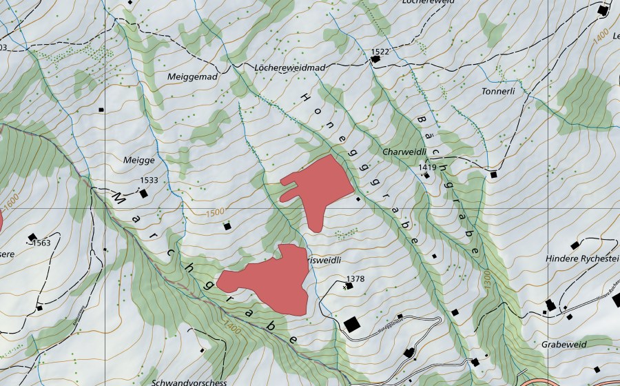 swisstopo national map showing the protected perimeter of Honegg (Dry meadow)